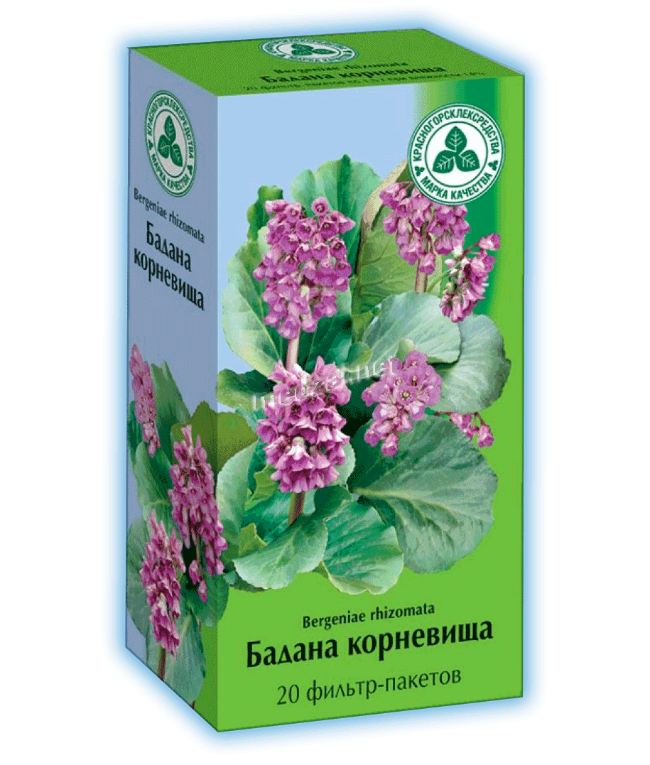 Bergeniae rhizomata   АО "Красногорсклексредства" (Fédération de Russie)