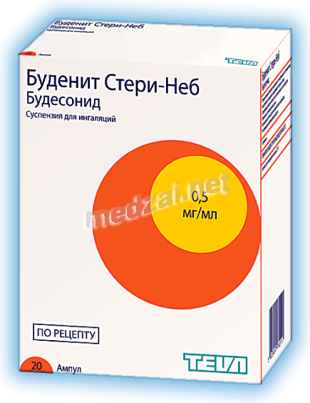 Budenit steri-neb  suspension NORTON HEALTHCARE (ROYAUME-UNI)