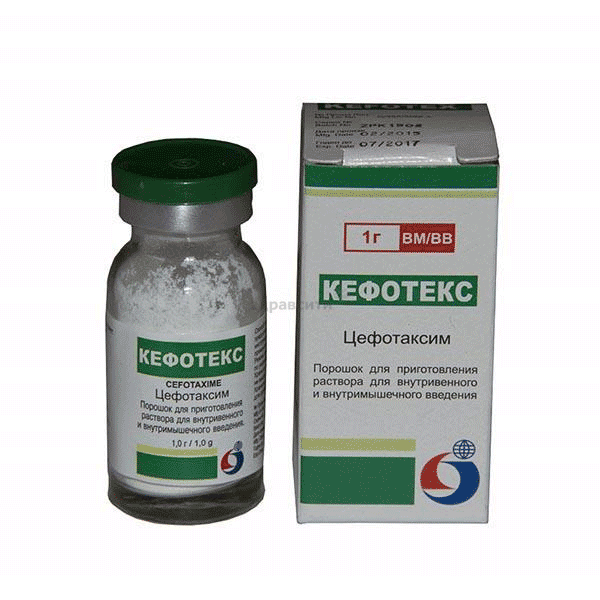 Cefotex  poudre GEPACH INTERNATIONAL (Inde)