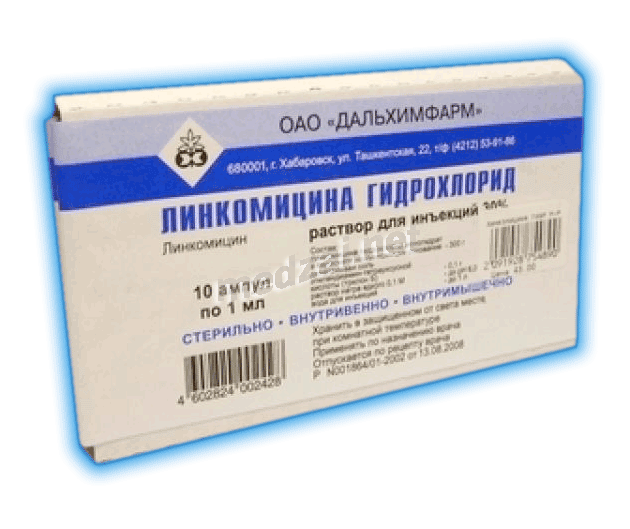 Lincomycin  solution ОАО "ДАЛЬХИМФАРМ" (Fédération de Russie)