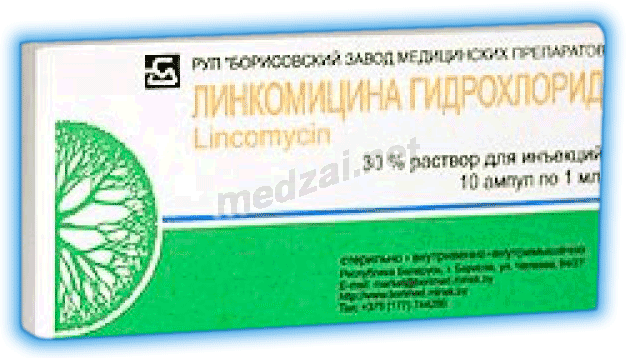 Lincomycin  solution BORISOVSKIY ZAVOD MEDICINSKIKH PREPARATOV (République de Biélorussie)