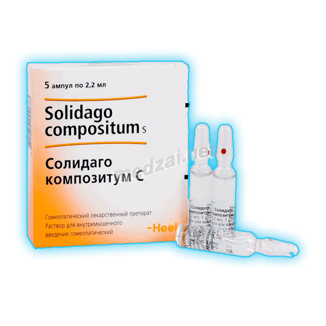 Solidago compositum s  solution BIOLOGISCHE HEILMITTEL HEEL (ALLEMAGNE)