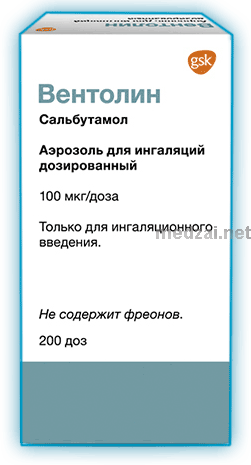 Вентолин  аэрозоль ЗАО "ГлаксоСмитКляйн Трейдинг" (Россия)