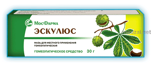 Эскулюс