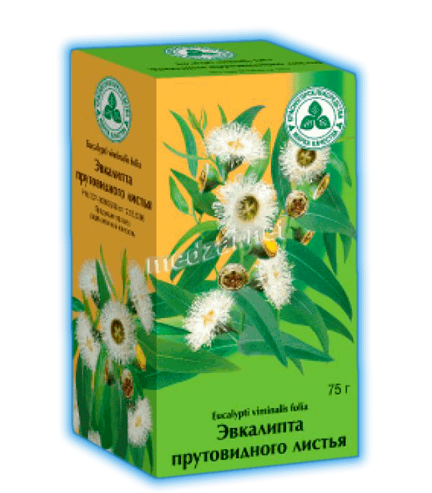 Eucalypti viminalis folia   АО "Красногорсклексредства" (Fédération de Russie)